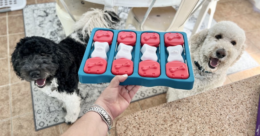 Outward Hound Dog Puzzle Toy Just $6 on Amazon – Over 33,000 5-Star Ratings!