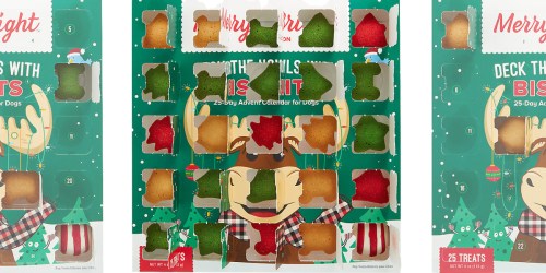 PetSmart Dog Treat Advent Calendars from $7.99, Cat Toy Advent Calendar Only $16.99