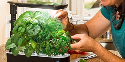 AeroGarden Indoor Garden Kit w/ Seed Pods Only $34.99 Shipped (Reg. $100)