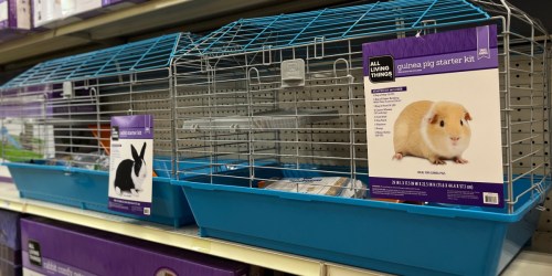 ** PetSmart Black Friday 2021 | 50% Off Toys, Advent Calendars, Cat Condos, Small Pets, & More