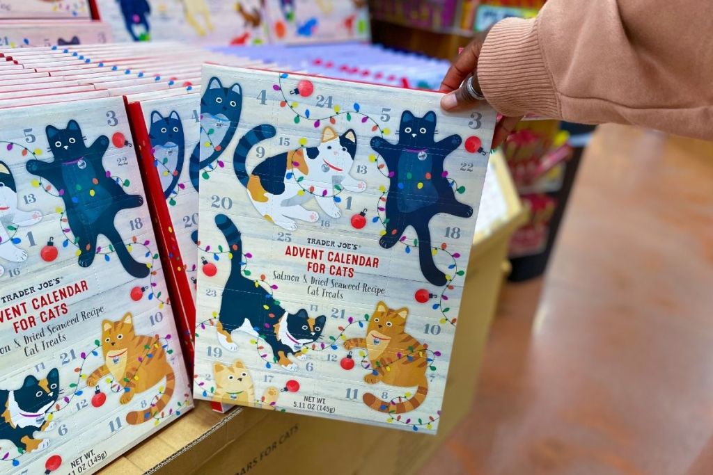 Trader Joe's cat advent calendar