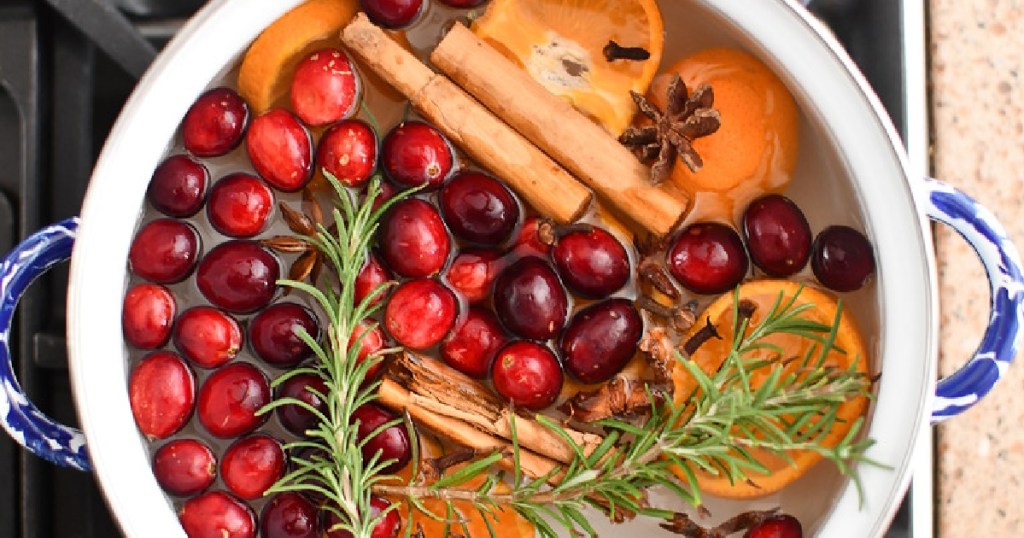 christmas stove top potpourri