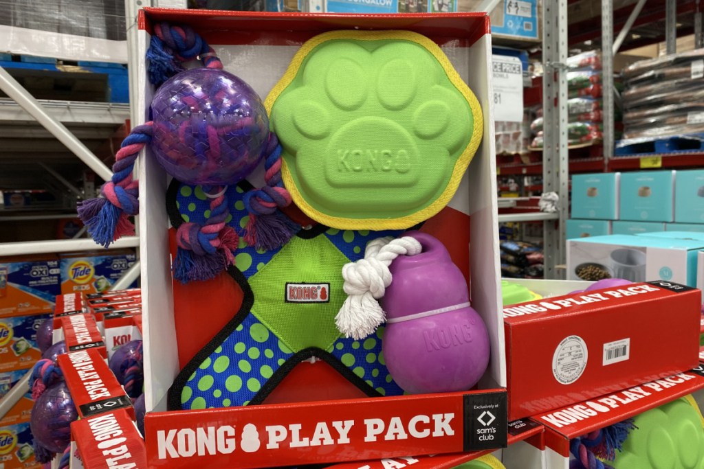 kong play 4 pack