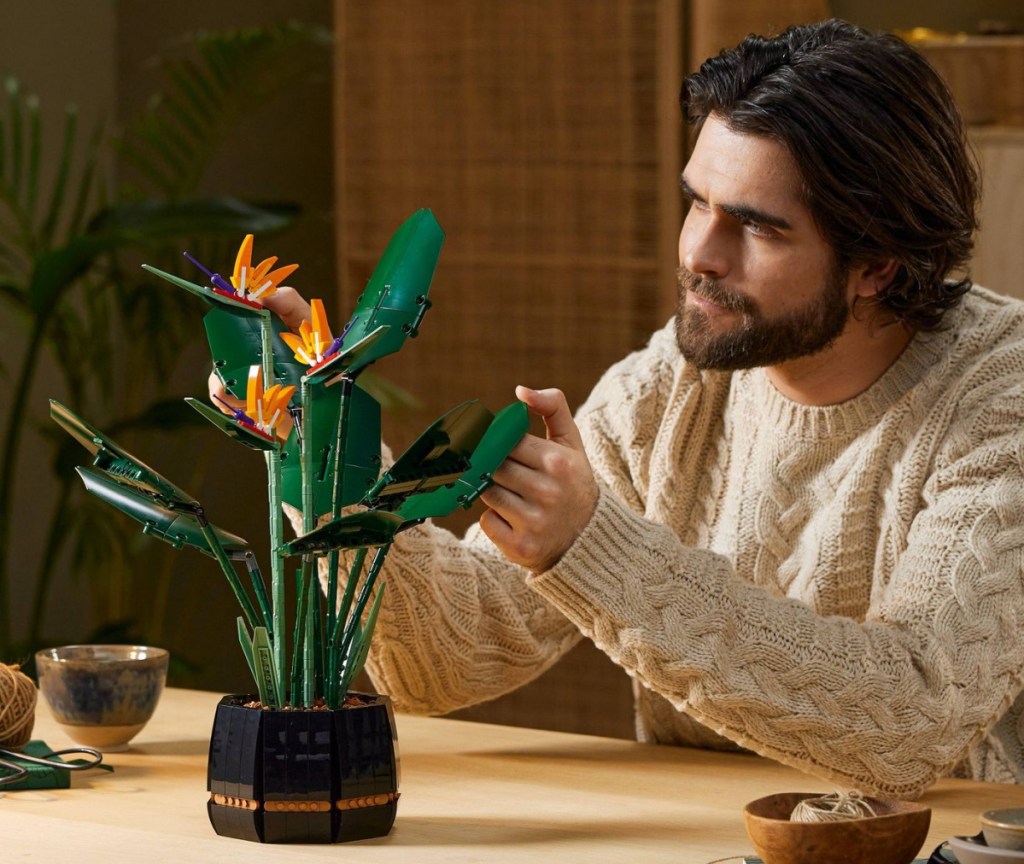 man assembling a bird of paradise lego set