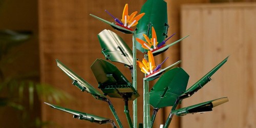 LEGO Bird of Paradise Set Just $79.99 Shipped on Target.online (Regularly $100)