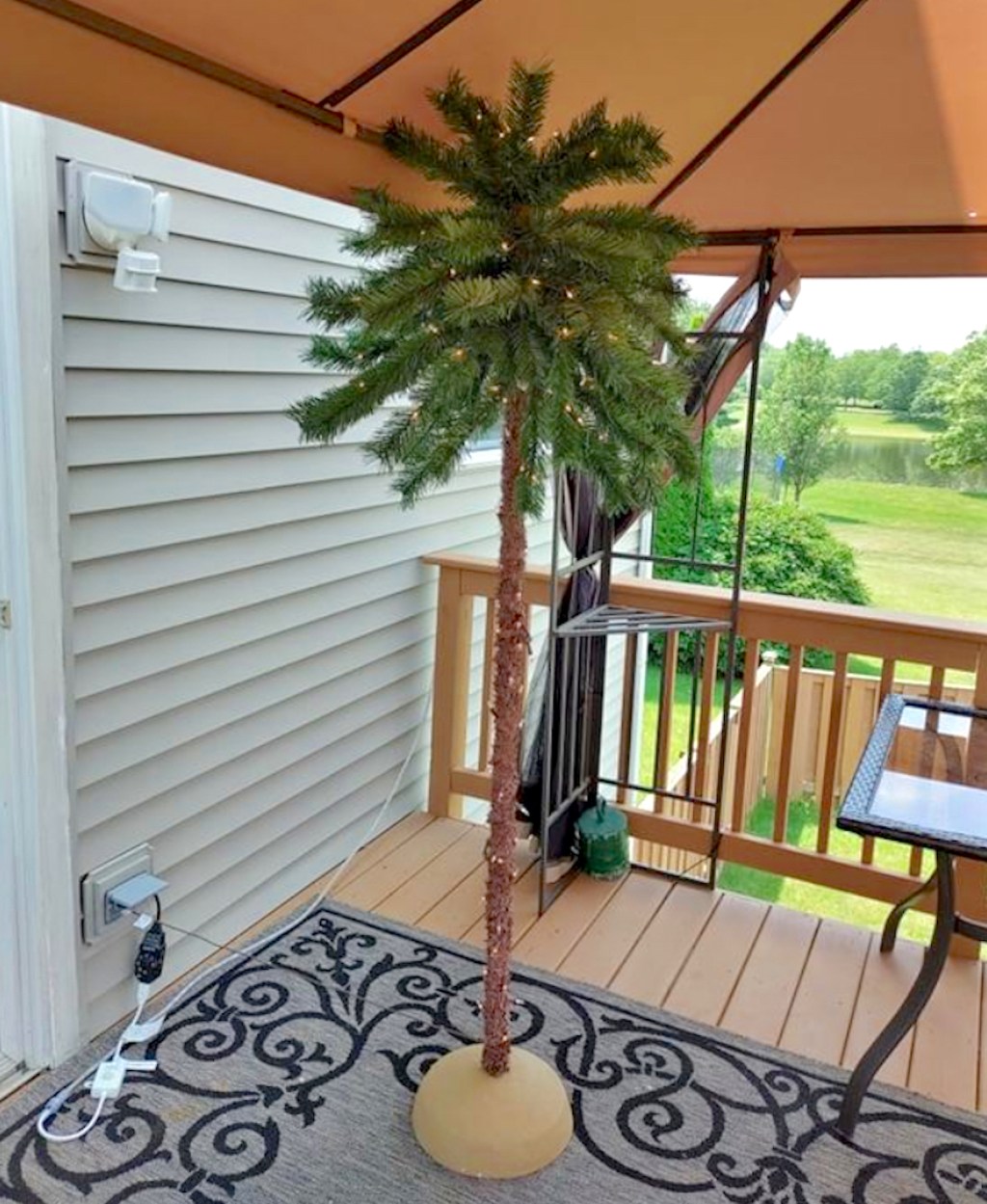 palm tree with lights outside on deck