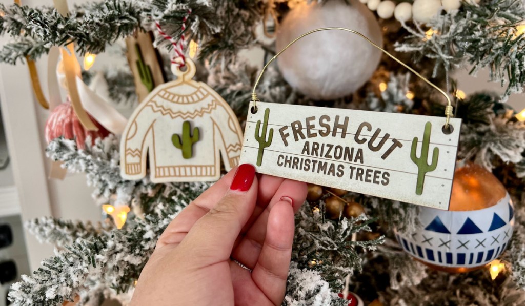 hand holding ornament on tree