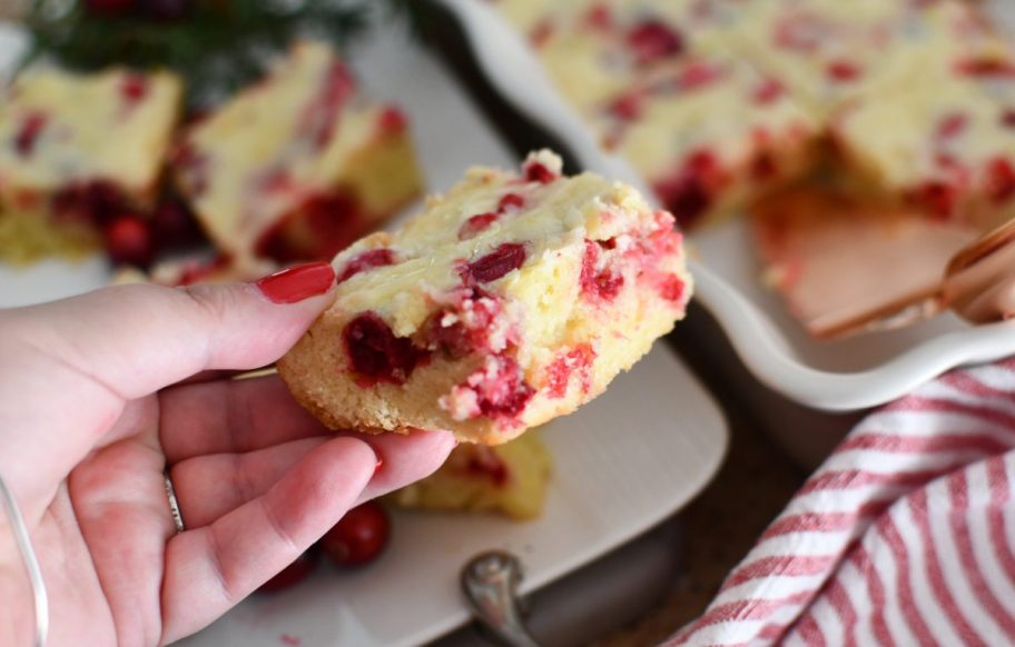 Hand holding a slice of cranberry Christmas Cake