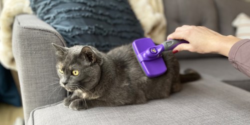 Self-Cleaning Pet Slicker Brush Only $11.99 on Amazon | Over 63,000 Five-Star Ratings!