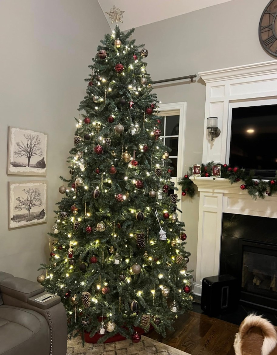 lit christmas tree with traditional ornaments in corner of living room with window