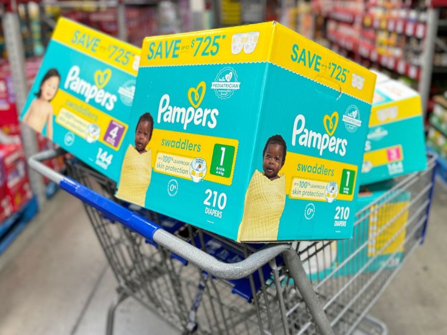 Pampers Swaddlers Diapers