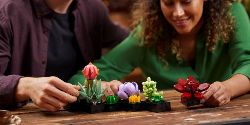 ** LEGO Succulent or Orchid Set Just $49.99 | Pre-Order Now for Mother’s Day!