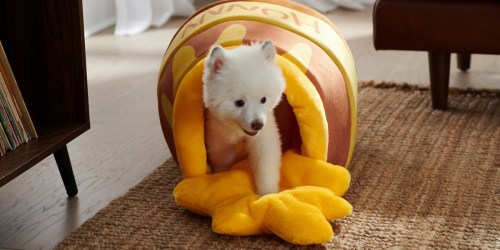 ** Buy 1 Disney Pet Bed, Get 1 FREE Disney Pet Toy on Chewy.online