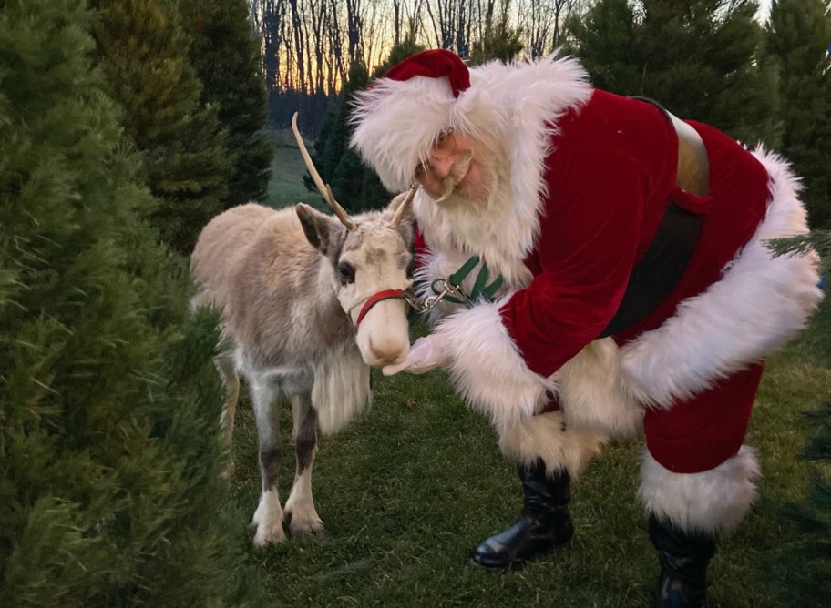 Santa with a reindeer