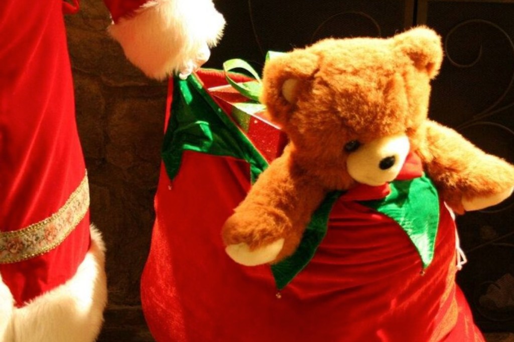 toys for tots stuffed animal in santas bag