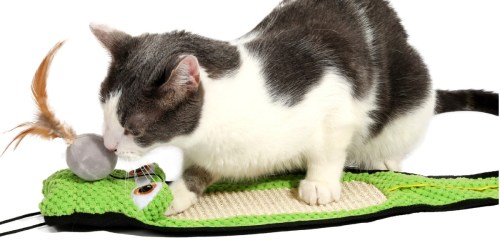 Hartz Cat Toy & Catnip Only $6.92 on Amazon or Walmart.online (Regularly $10)