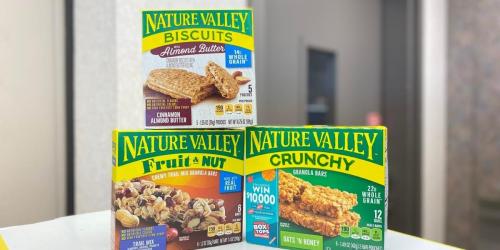 TWO Nature Valley Granola Bars 6-Packs Only $2.24 (Just $1.12 Per Box) on Walgreens.online