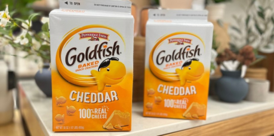 Goldfish Crackers Cartons Only $5.98 Shipped on Amazon (Reg. $8) | Lots of Flavors!