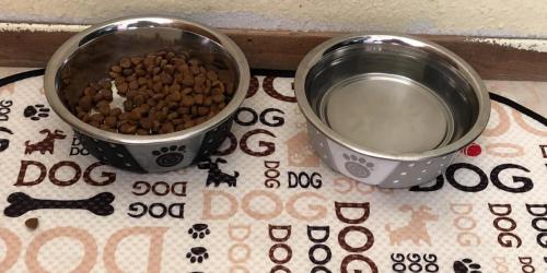 PetRageous Stainless Steel Non-Slip Dog Bowls from $2.98 on Walmart.online (Regularly $13)