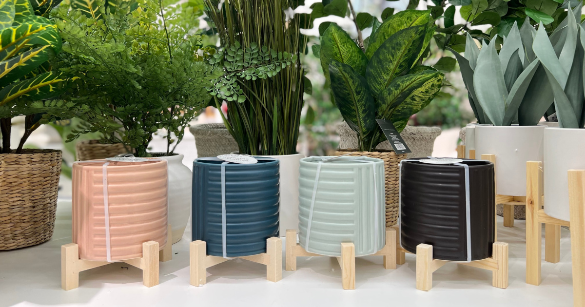 four small ceramic plants in store