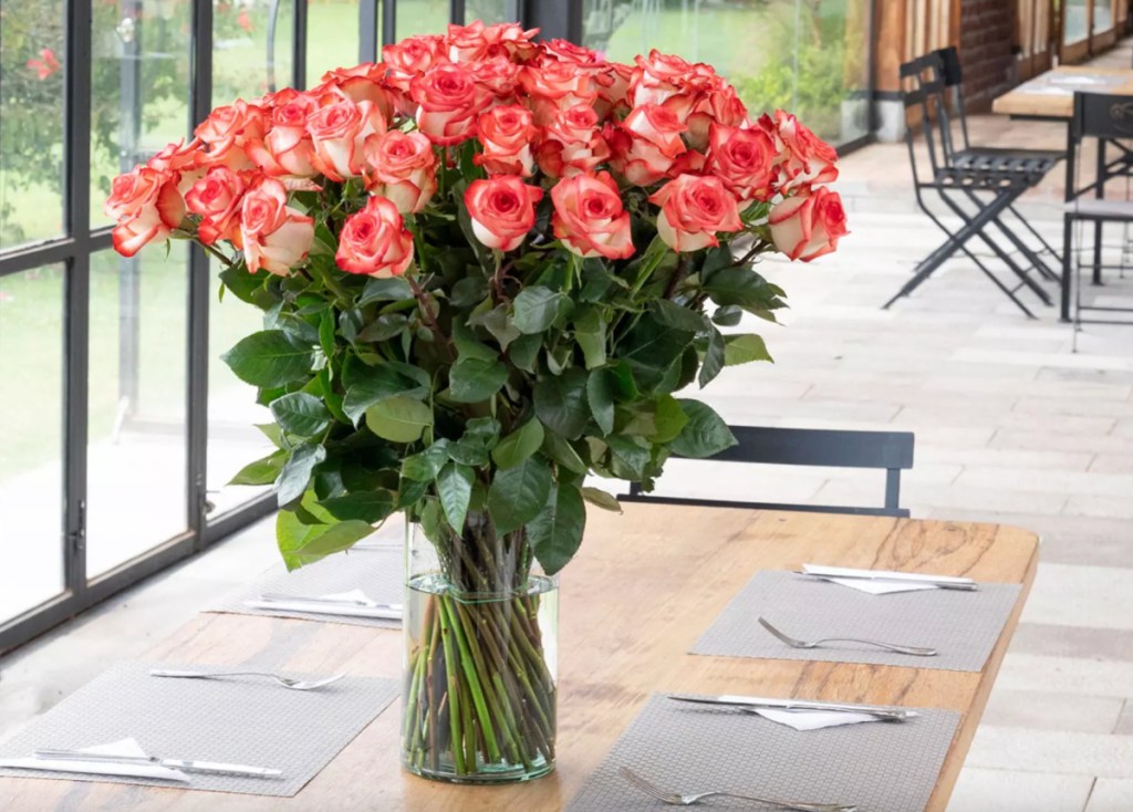 pink roses in vase