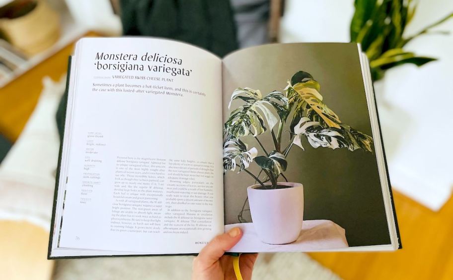 hand holding open plant book with monstera 