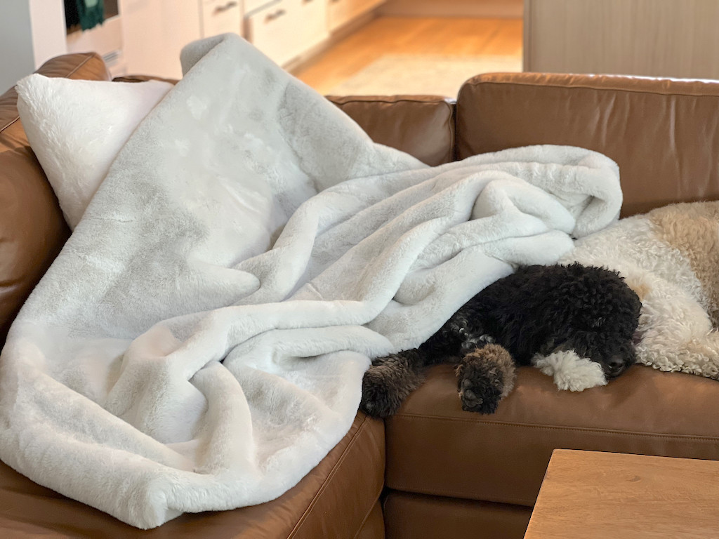 solid color throw blanker on couch with dogs 