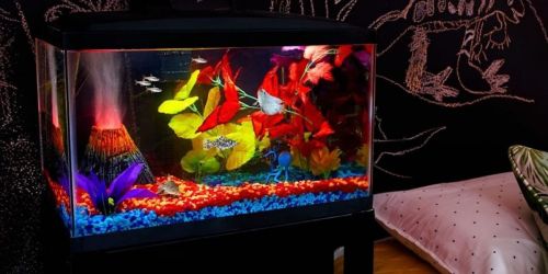 Aqueon Glass Aquariums from $9.99 on Petco.online (Regularly $20)