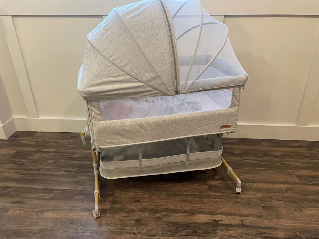 baby in a bassinet