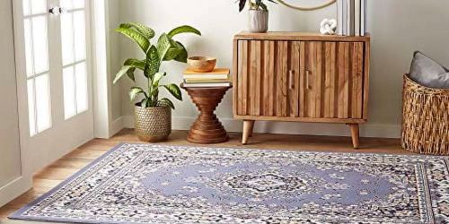 Home Dynamix 5’x7′ Indoor Area Rugs from $28 on Walmart.online