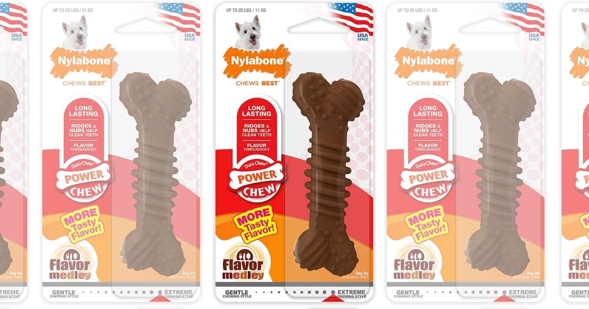 Nylabone Dura Chew Power Chew Textured Dog Bone