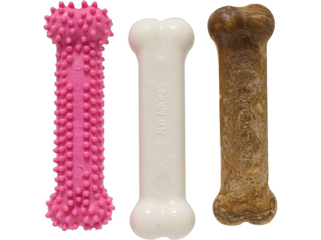 Nylabone Puppy 3-Pack