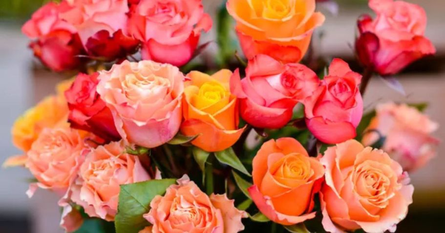 Up to 85% Off Groupon Valentine’s Day Gift Ideas | Long Stem Roses, Treats, & More