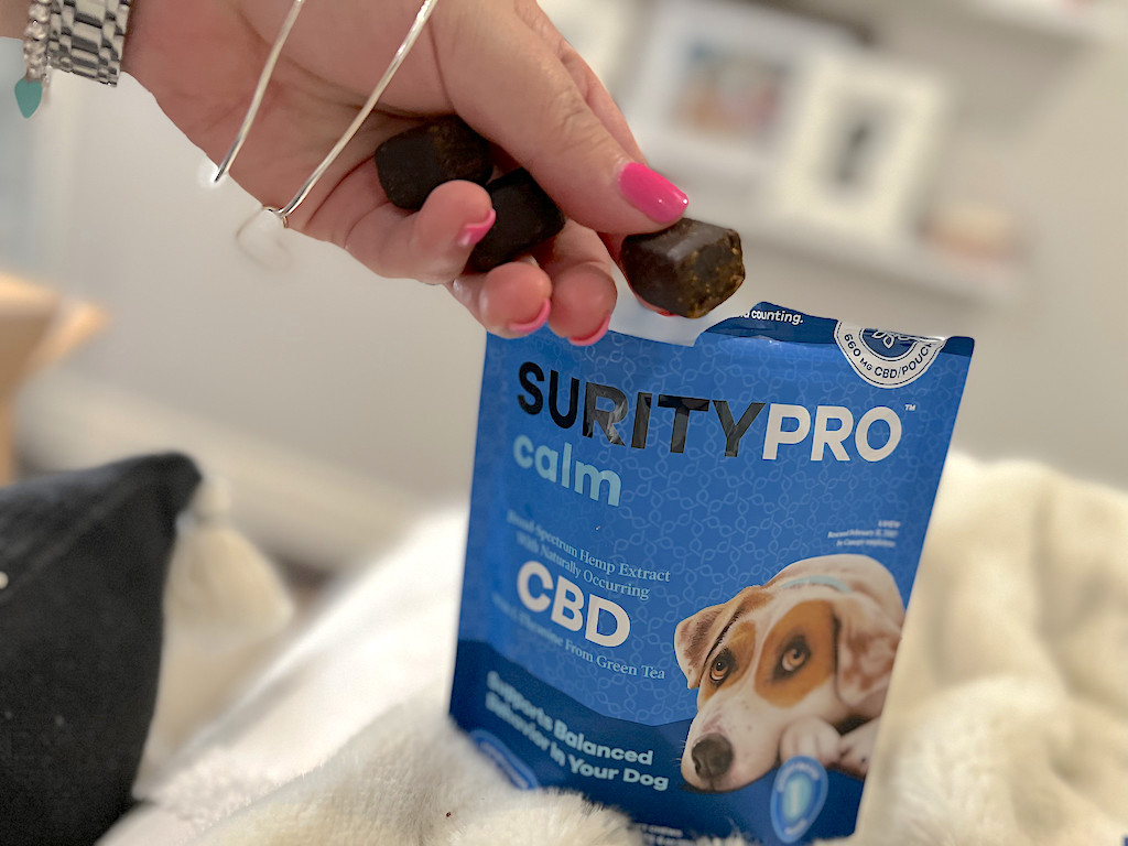 holding CBD dog treats 