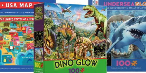 Ceaco 100-Piece Puzzles from $5.97 on Amazon or Walmart.online (Regularly $10)