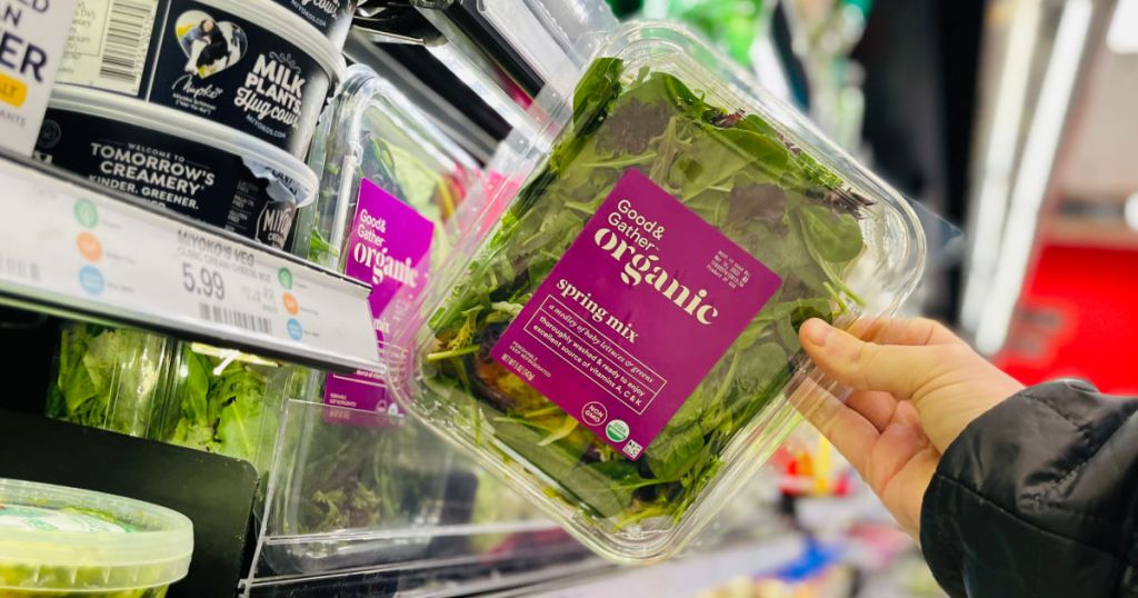 hand holding organic spring mix in plastic container 