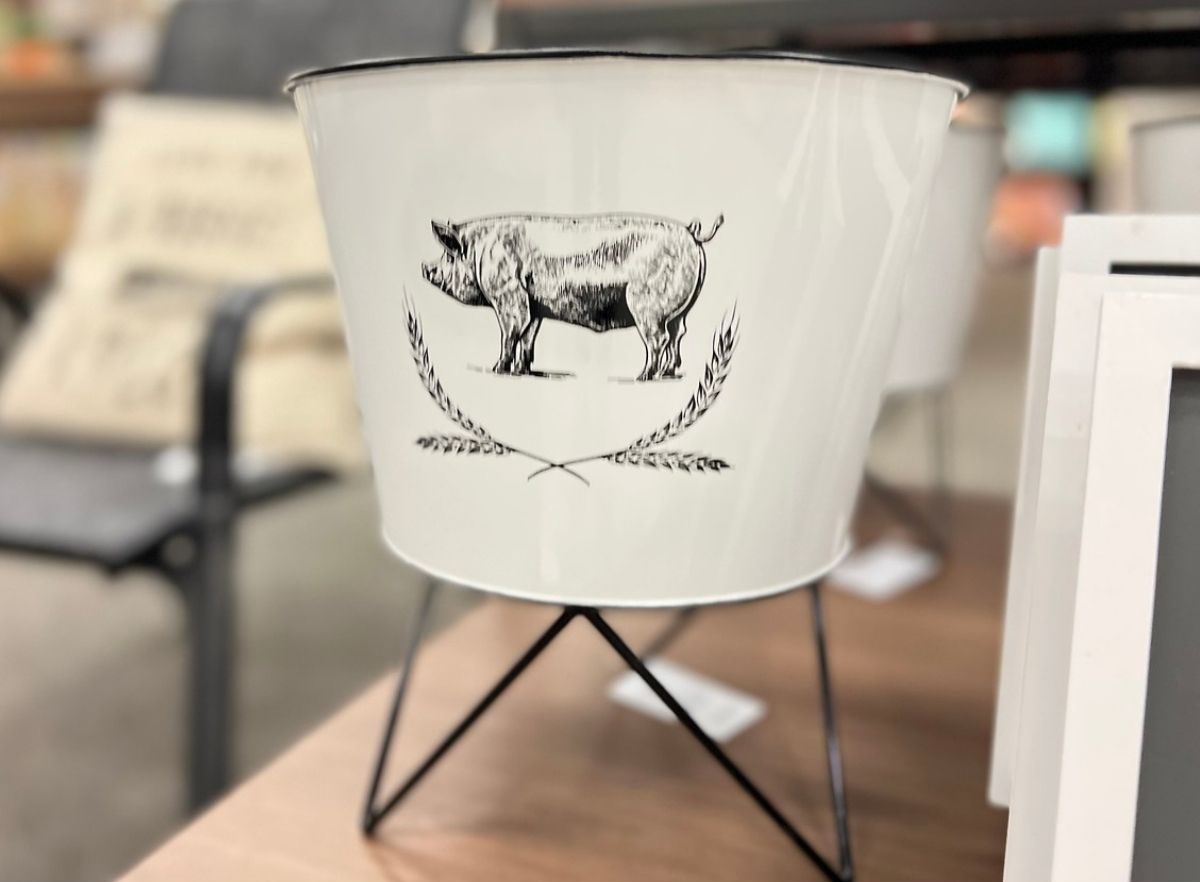 Sonoma Goods for Life Pig Planter