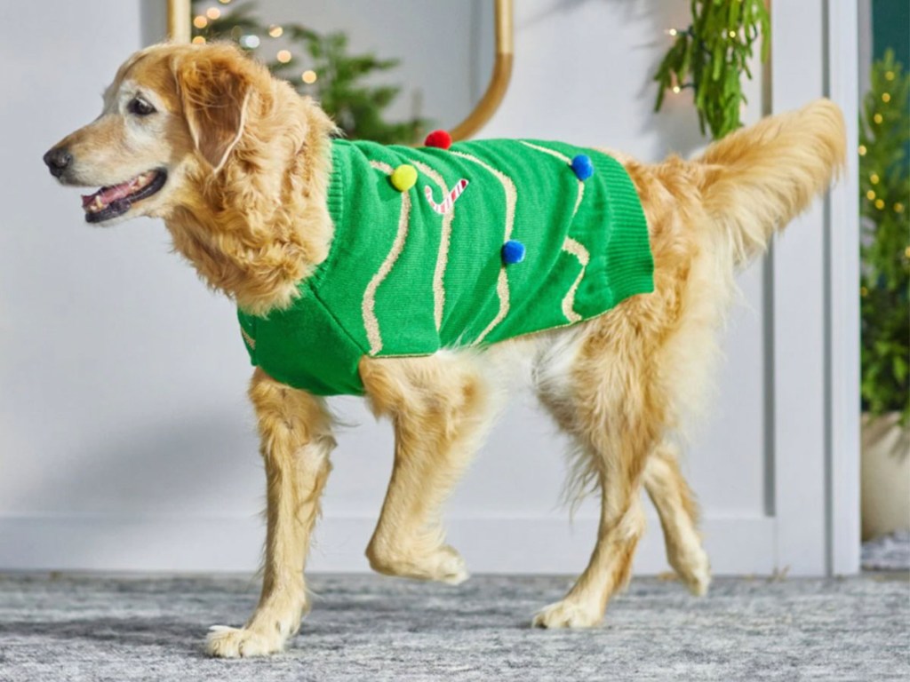 dog wearing christmas tree sweater