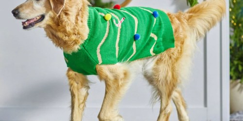 40% Off Pet Clothes on Chewy.online | Coats, Sweaters, & Hoodies from $3 (Includes Cute Holiday Designs)