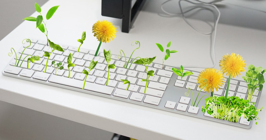 keyboard garden