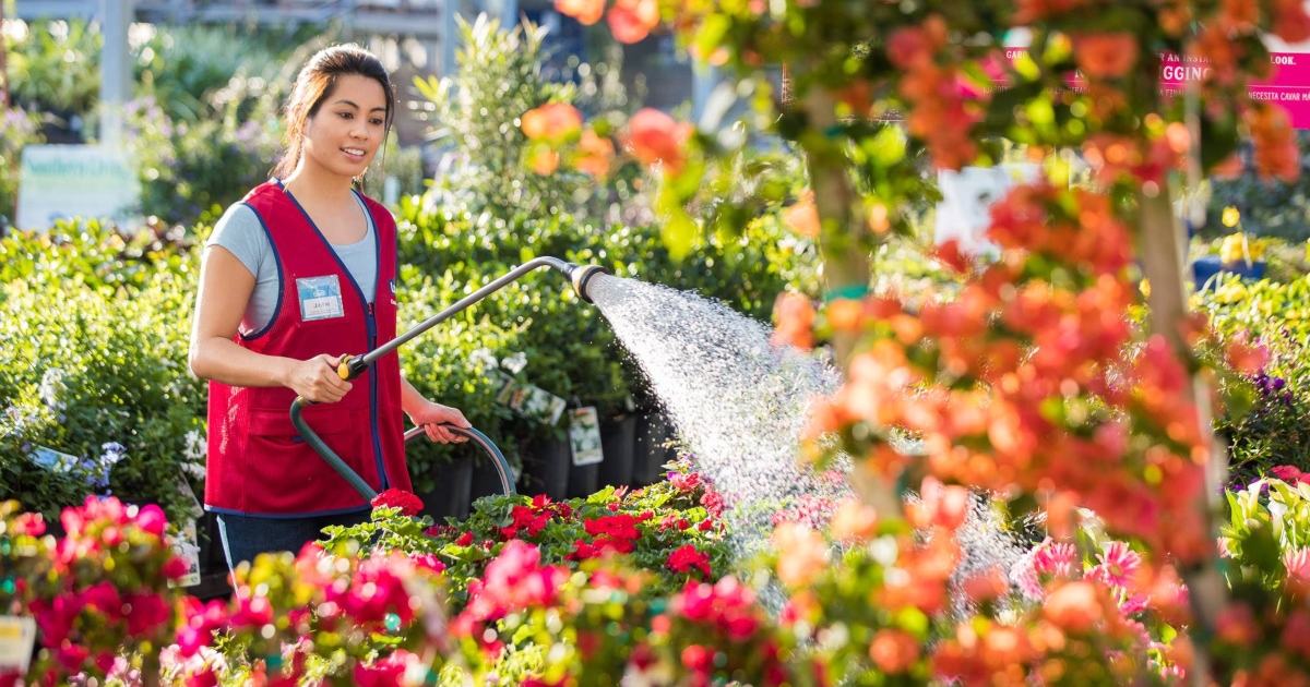 Lowe's employee watering plants