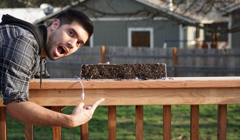 man with keyboard garden