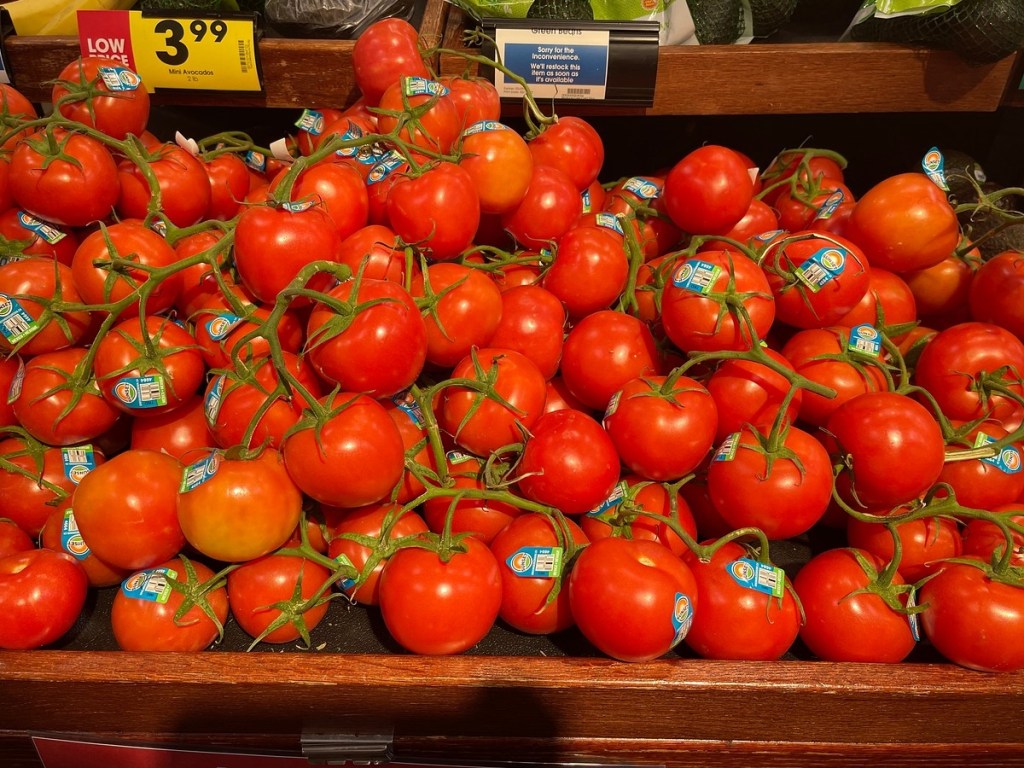 Tomatoes on the vine