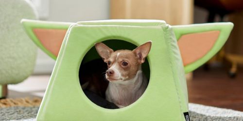 Up to 40% Off Disney, Pixar & Star Wars Pet Beds on Chewy.online | Grogu Covered Bed Only $13.99