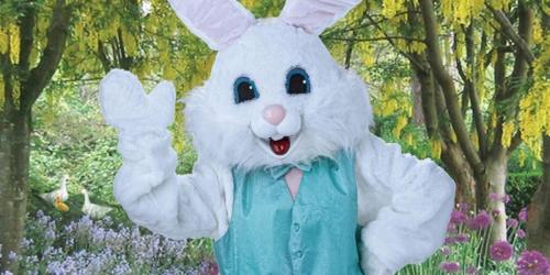 Catch the Easter Bunny in Your House w/ Free Capture the Magic App