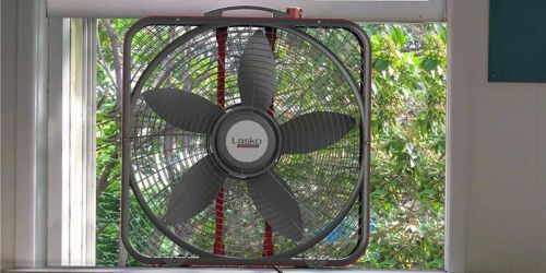 Lasko Industrial-Grade Box Fan Only $19.98 on SamsClub.online (Regularly $30)