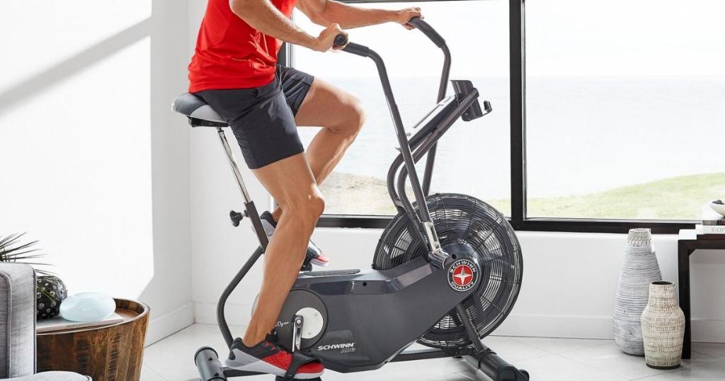 Schwinn AD 6 Airdyne Fan Bike