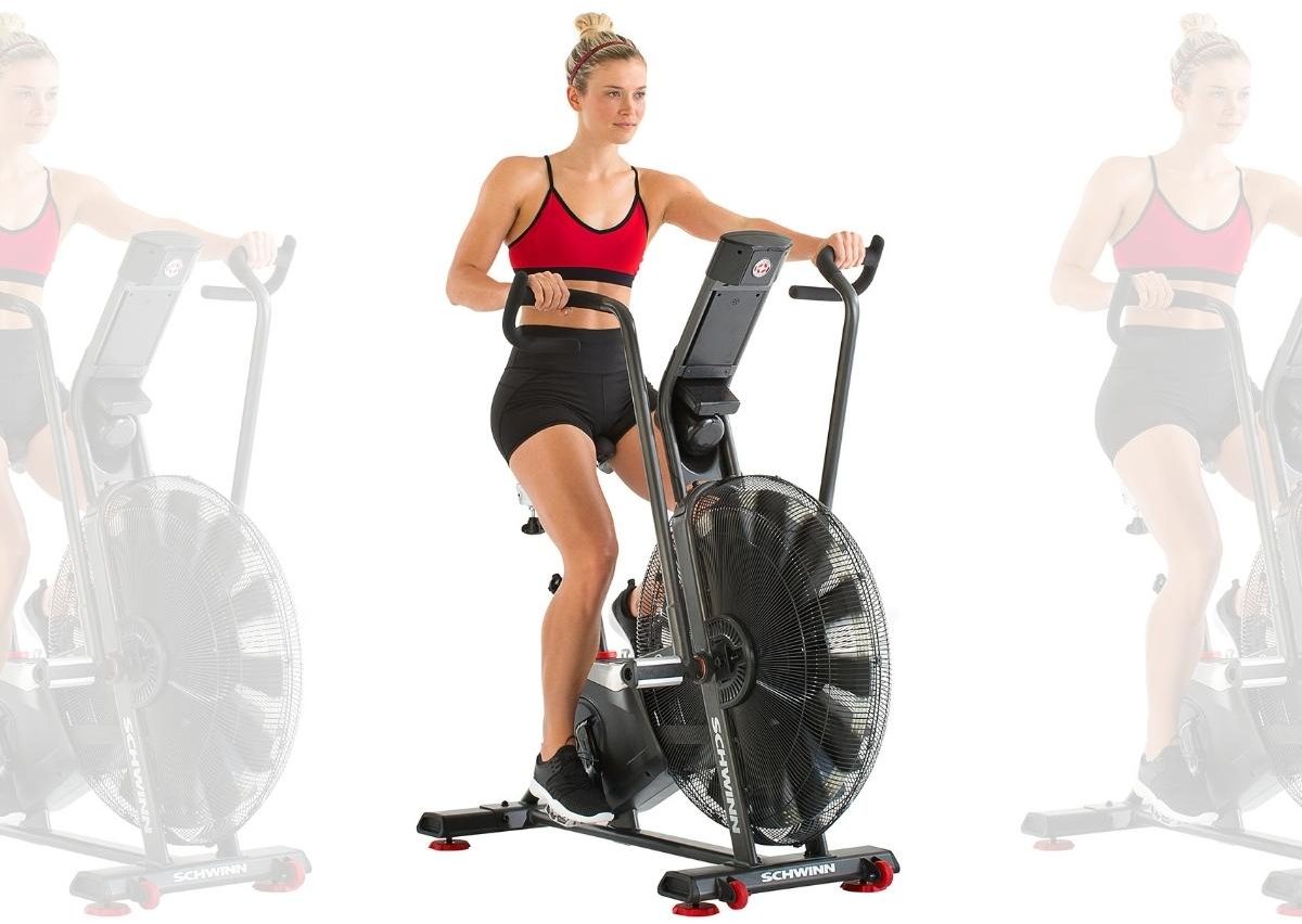 Schwinn AD Pro Airdyne Fan Bike