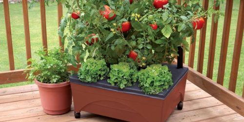 Raised Garden Bed w/ Wheels Just $23.98 Shipped on HomeDepot.online (Regularly $40)