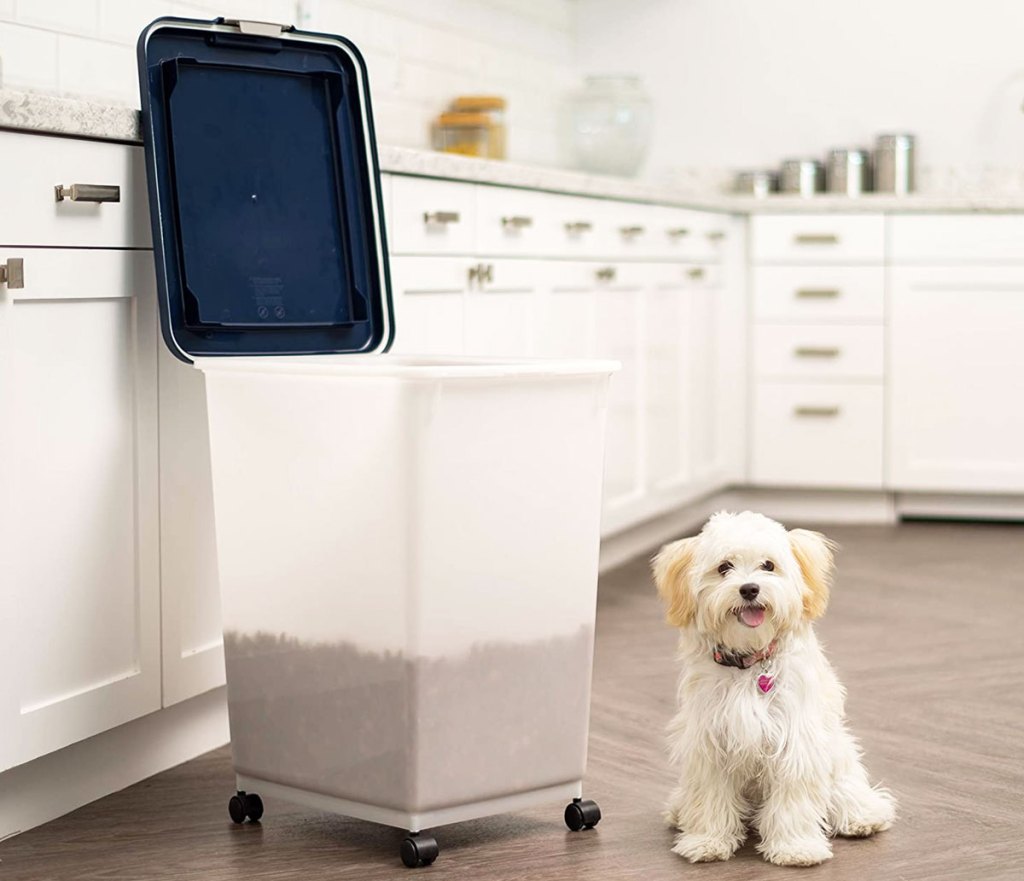 small dog next to large per food container